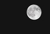 Full Moon
